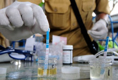 Bikin Kaget! Satu Pejabat Pemkab Kudus Positif Skrining Narkoba saat Tes Urine Mendadak, Bupati Sam'ani Ungkap