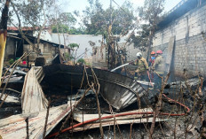 9 Kambing Mati Terjebak Api, Kandang 100 Meter Persegi di Patemon Semarang Ludes