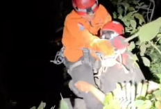 Pecinta Reptil Jatuh Ke Jurang Curug Lawe Benowo Ungaran Sedalam 40 Meter