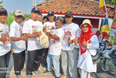 Puncak HUT ke-81 Republik Indonesia, Ratusan Warga Margadana Tegal Berebut Bebek Hidup 