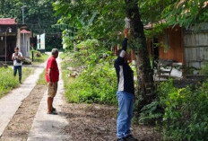 Nahas! Seorang Warga di Tanggungharjo Tewas Tersetrum Saat Mencoba Perbaiki Kabel Putus