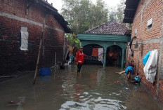 Ribuan Rumah di Demak Terdampak Banjir, BPBD Kerahkan Pompa dan Tim Siaga