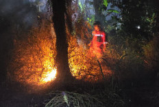 Dua Lahan Terbakar, Api Nyaris Sambar Rumah Warga di Tegal