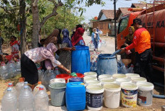 Kekeringan Kepung 51 Desa di Demak, 66 Ribu Warga Bergantung pada Bantuan Air Bersih