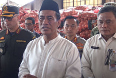 Mentan Amran Sita 133,5 Ton Bawang Bombay Ilegal di Semarang, Langsung Dimusnahkan