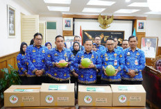 Perluas Pasar dan Promo Jeruk Pamelo, Bupati Pati Obral Gratis ke Kepala Daerah di Jateng 