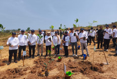 Ribuan Pohon Aren Disiapkan di KEK Industropolis Batang, Ditarget jadi Bioetanol