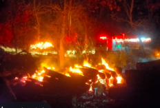 30 Meter Kubik Kayu Mahoni Terbakar di Boyolali, Kerugian Lebih Rp30 Juta