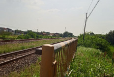 Selfie di Rel Batang Berujung Maut, Tiga Pelajar Tertemper KA Argo Merbabu