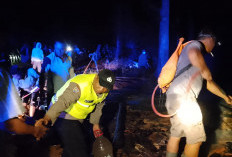 Warung Kopi di Lahan Perhutani Mesoyi Pekalongan Ludes Terbakar, Diduga Korsleting Kulkas