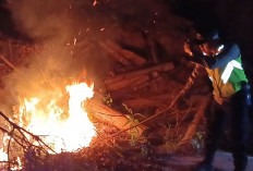 Kebakaran Lahan di Pabelan Semarang Gegerkan Warga, Satu Unit Damkar Dikerahkan