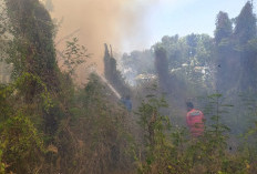 Lahan Kosong di Lebaksiu Tegal Terbakar, Dua Pabrik Nyaris Jadi Amukan Si Jago Merah