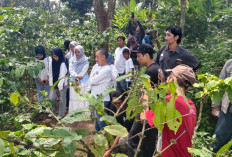 Touring ke Lereng Muria, Konsumen Yamaha Diajak Petik Kopi hingga Racik Sendiri