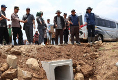 150 Hektare Terancam Gagal Panen, DPRD Tegal Ultimatum Perusahaan Kebun Pisang di Desa Kaliwungu