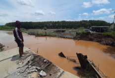 Jembatan Beringin Ambrol, Pemkot Semarang Kaji Opsi Darurat dan Usulkan Jembatan Permanen Tahun Depan