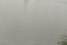 Langganan Banjir, Petani Desa Jono Sragen Gagal Swasembada Pangan Lantaran Pemkab Bungkam