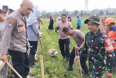Lebih 500 Hektar Sawah di Salatiga Gagal Panen, Dispangtan:  Petani Kurang Suka Menanam Pola Jajar Legowo