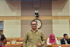 Pengakuan Advokat Aris Carmadi, Saksikan 19 Peluru Aktif di Etalase Rumah Bos BLN Nicho