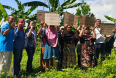 Sengketa Lahan Bulusan Semarang, 188 Bidang Tanah Digugat PT BSJM, SHM Warga Terancam Batal