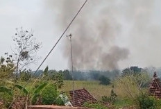 Kebakaran Hanguskan 2 Hektare Lahan Tebu di Rembang, Kerugian Capai Rp100 Juta