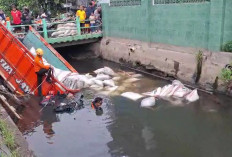 Truk Beras Terjun ke Sungai di Jalur Semarang–Demak, Sopir Meninggal 