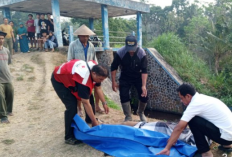 Mahasiswa di Salatiga Asal Purworejo Tewas di Pintu Air Kalimojo Tengaran 