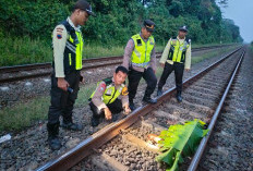 Tragis, Seorang Warga Tewas Tertemper KA Blambangan Express di Kandeman Batang