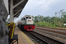 Stasiun Comal Layani 1.472 Penumpang Dalam Sepekan