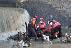 Dua Remaja Hilang Saat Latihan Dayung di Sungai Penggarit Pemalang, Satu Ditemukan Meninggal