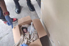 Jasad Bayi Laki-Laki Ditemukan dalam Kardus di Teras Kost Putri Jebres