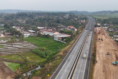 Hari Pelanggan Nasional 2026, TMJ Update Progress Exit Tol Pattimura Salatiga 