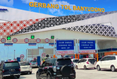 Capaian Finansial PT JMJ Perseroan: Tahun 2025 Tumbuhan 669,1% dengan Pendapatan Rp281,58 Miliar