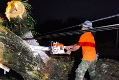 Angin Lesus Mengamuk di Kudus, Puluhan Rumah Rusak dan 38 Pohon Tumbang
