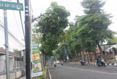 Dicari Warganet, Emak-emak Penjual Kopi Keliling yang Usir Warga Dua Hari Tak Mangkal 
