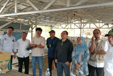 Situs Purbakala Berusia 1,8 Juta Tahun Silam Tersimpan di Hutan Balapulang Tegal