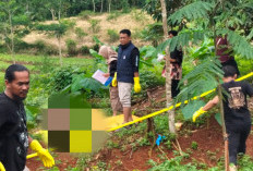 Mayat Perempuan Ditemukan di Hutan Jati Subah Batang, Identitas Belum Terungkap