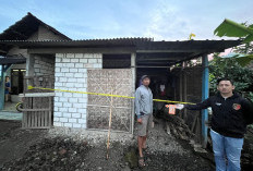 Lupa Membuang Plat Nomor Hasil Curiannya, Maling Motor di Pati Tertangkap Polisi