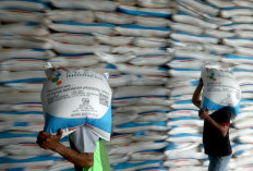 Pupuk Subsidi di Tegal Ngebut Diserap, 15.993 Ton Ludes dalam 4 Bulan