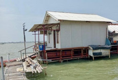 Rumah Apung Timbulsloko Dilirik Pekalongan, Demak Punya Peluang Wisata Edukasi Rob