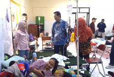 Update, Korban Dugaan Keracunan MBG Bawang Batang Capai 498 Orang