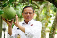 Ambisi Besar Durian Musangking dan Blackthorn plus Kopi Pati Merajai Pasar Indonesia 