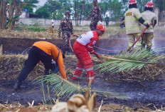 Bakar Lahan Bekas Jagung, PMI Batang Latih Relawan Padamkan Karhutla