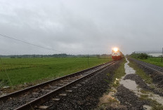 Jalur KA Tegowanu–Brumbung Sempat Terendam, KAI Pastikan Daop 4 Semarang Kini Normal