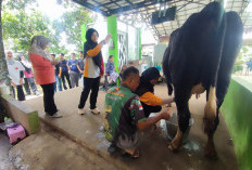 Mahasiswa Malaysia Belajar UMKM Kolang-Kaling dan Peternakan Sapi Perah di Desa Wisata Jatirejo Semarang