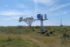 Manfaatkan Dana Desa, Banjarsari Demak Pasang PLTS, 18 PJU Terang Sepanjang 900 Meter