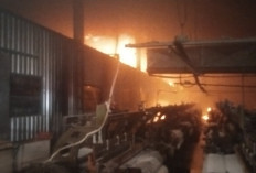 Damkar Kerahkan 14 Armada Padamkan Kebakaran PT Unggulrejo Wasono di Purworejo