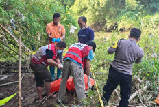Ditemukan Potongan Tubuh di Sungai Bogowonto, Diduga Korban Laka Sungai Wonosobo yang Hilang