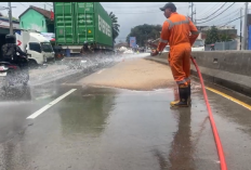 Pintu Kontainer Terbuka, 20 Ton Partikel Kayu Siap Eksport Tumpah di Harjosari Bawen