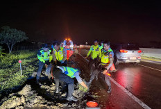 Evakuasi Bus Terperosok di Tol Pejagan–Pemalang, Kapolres Tegal Turun Langsung ke Lokasi