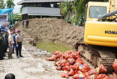 Polrestabes Semarang Musnahkan 6.171 Karung Bawang Bombay Ilegal